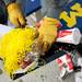 Mike Kanny uses a dustpan to shovel garbage into a trash bag. This is Kanny's 16th year of participating. Cleaning the stadium took longer on Sunday because fans were given pom poms. Daniel Brenner I AnnArbor.com